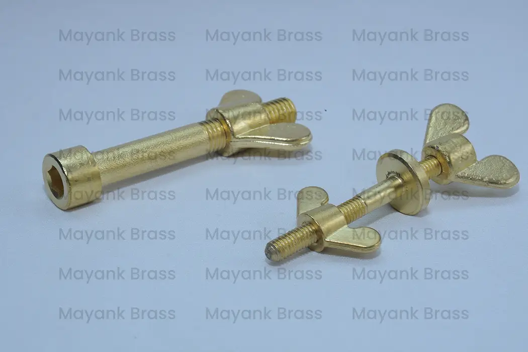 Cap Hex Socket Screw With Washer And Fly Nut